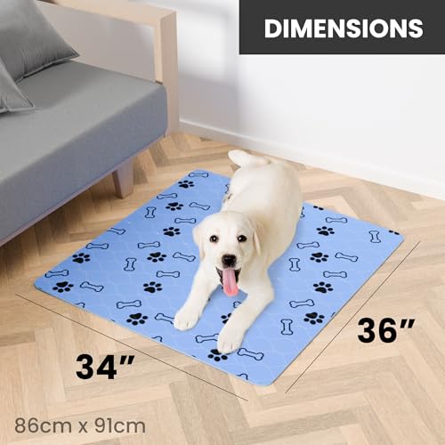 Image of Buddy's Best Washable Pee Pads for Dogs - Medium (34 inchx36 inch) - Ultra-Absorbent, Non-Slip, Ideal for Playpens, Training, Incontinence - (2-Pack) + Bonus Grooming Glove