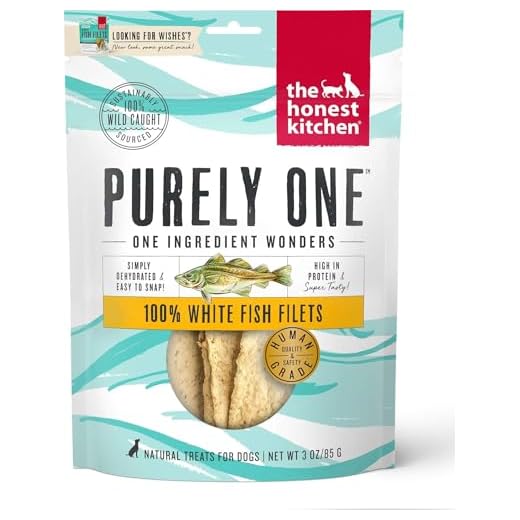 The Honest Kitchen 100% White Fish Filets Dog Treats, 3 oz (Wishes)