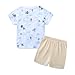 Bibimom Kids Clothing Boys Cotton Fashion Coconut Tree T-Shirt Shorts Sets 4-5T Birthday