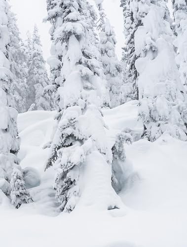 Nées pour skier Nées pour skier