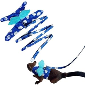 Squirrel Vest Harness with Angel Swing, Small Pet Animal Harness Vest Leash Set Soft Adjustable Outdoor Vest Harness Clothes for Guinea Pig Chinchilla Squirrel