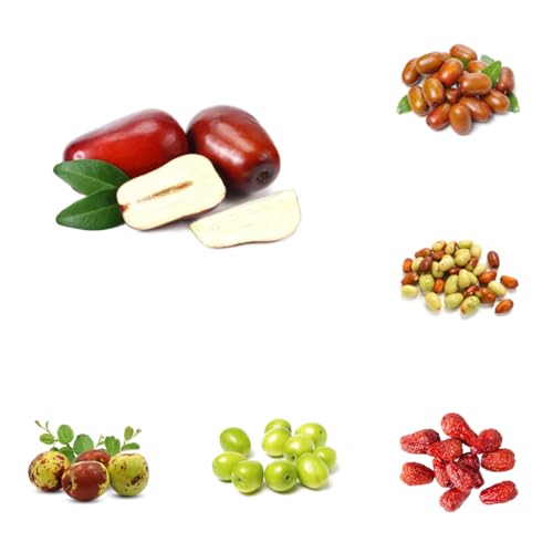 semi di palma da dattero, giuggiole di fresca, decorazione da giardino per esterni, aiuole rialzate da giardino resistenti perenni 150pcs