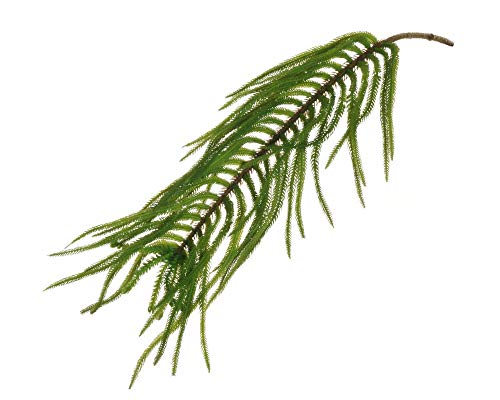 Zelda Bomboniere Bouquet Araucaria Soft Touch 75 cm Plante Artificielle