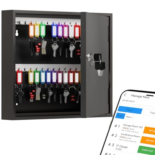 WeHere 60-Key Lock Box