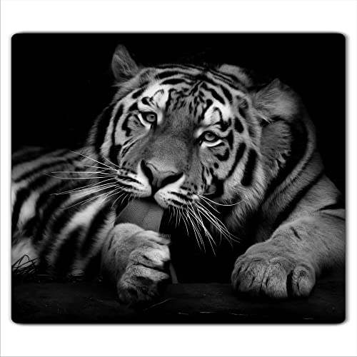 Couvercle pour plaque de cuisson universelle en céramique Decorwelt, à induction, protection anti-éclaboussures, motif tigre