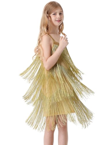 Kids Sequin Fringe Dress Sparkling Tassel Sleeveless Latin Dance Dress Salsa Dancewear Dancer Outfits for Girls2