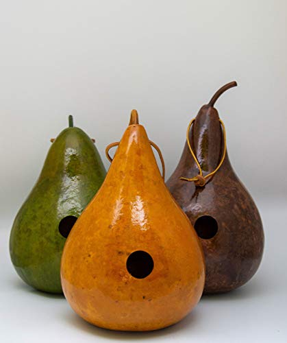 Gourd Birdhouses - Birthday Gift for Bird Lover - Birdhouse Gourds - Green - Mahogany - Yellow