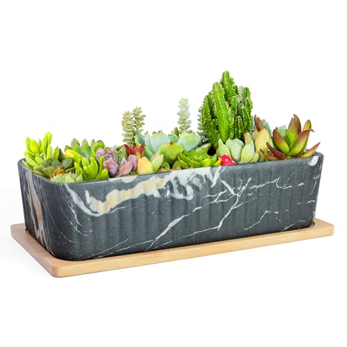Image of ARTKETTY Succulent Pots - Large Marble Succulent Planters with Drainage Tray, Window Sill Planter, Long Rectangle Ceramic Pots for Indoor Cactus Plants Shallow Bonsai Window Box for Home Garden Decor
