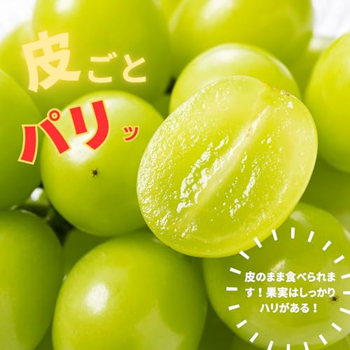 ノーブランド品 シャインマスカット 晴王 2キロ 4〜5房 岡山県産 訳あり 家庭用 の商品画像 2
