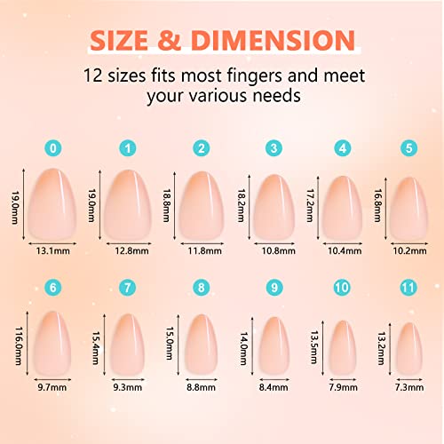 Sinokame 600Pcs Neutral Soft Gel Extra Short Almond Nail Tips, Nude Gel Press On Nails Xs Almond 2 In 1 Nude Base Color For A Quick And- Easy Application, Sheer Pre-Painted Tips Can Be Cured And Soaked Off For Nail Extensions Salon Home Diy,12 Sizes #TOP5