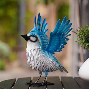   urban country home decor