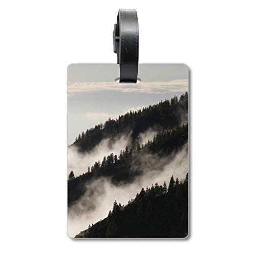 Étiquette didentification anti-perte Fog Forest Mist pour bagages et valises