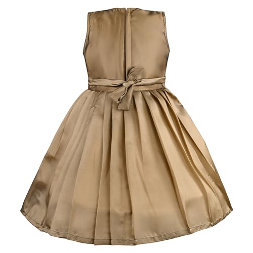 Image of Wish Karo Baby Girls Knee Length Satin Embroidered Party Dress-(fe2913nw)