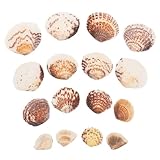 LIOOBO 1bolsa De Mar Diminutas Decoración para Peceras Accesorios De Almejas para Manualidades