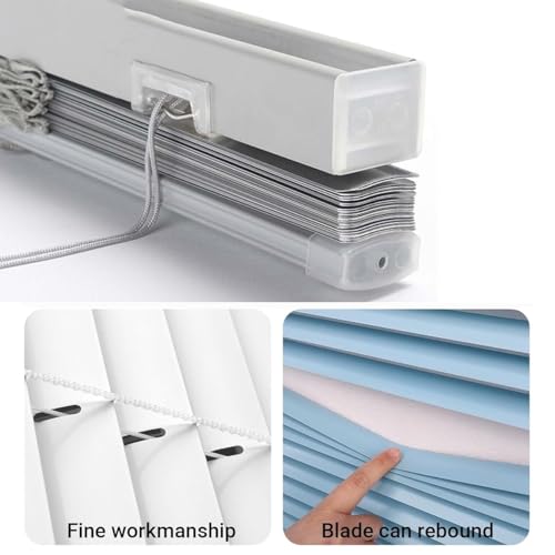 LIVING ACCENTS VNYL 1