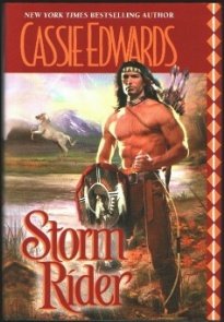 Hardcover Storm Rider Book