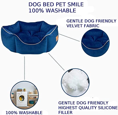 Image of PetLux Velvet Pet Smile Super Soft Reversible Bed for Indoor Cats, Dog Bed for Puppy and Kitty Round Bed, Sofa Basket for a Dog & Cat | Pet Bed With Pillow (M, Blue)