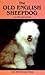 Old English Sheepdog