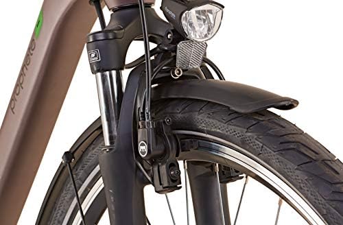 Geniesser 20.EMC.10 City E-Bike 