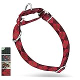 Este resistente collar de perro con doble anillo en D, hecho para perros de todas las razas, se requiere entrenamiento, deporte y uso diario.