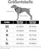 No Pull Hundegeschirr, Verstellbar Atmungsaktiv Reflektierend Weich Gepolstert Hunde Geschirr, Brustgeschirr für Hunde (Grau, L)