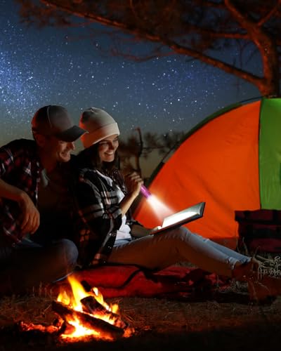 image for EverBrite 30-Pack Mini Flashlight Set, Aluminum LED Handheld Torches w