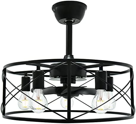 SUNEASY Ceiling Fans with Lights, Modern Caged Black Ceiling Fans with Lights and Remote，Flush Mount & Boom Mount Bladeless Ceiling Fan Light for Living Room Bedroom Kitchen