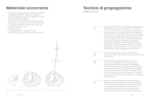 Propagare. Come Moltiplicare Le Piante Da Interno - 8