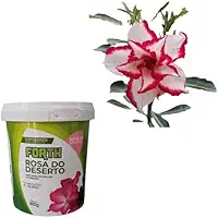 Forth Rosa Do Deserto Adubo Natural Cultivo Floração 400g