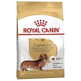 Royal Canin Dachshund - Alimento seco para perros (1,5 kg)