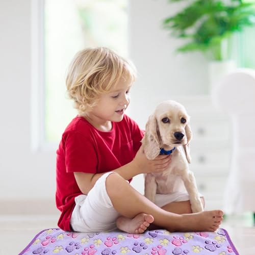 3 Stück 40*60cm Katzendecke für Katzen, kleine Decke für Sofa und Reisen,Weich Kuscheldecke Hund Katze für Herbst und Winter,Weich und Flauschig, Leicht zu Verstauen,für Sofas, Betten, Transportbox