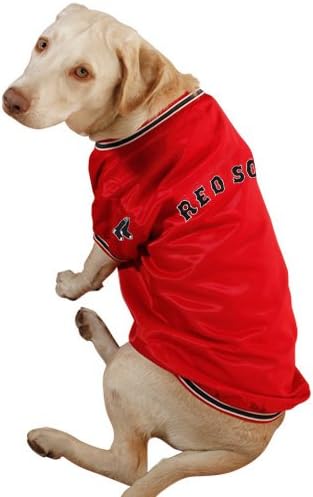 ohio state gear for dogs