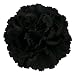 HC-01 Floral Fall Peony Flower Hair Clip Flamenco Dancer Pin up Flower Brooch (Black)