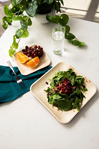 Better Than Bamboo 25 7" + 25 10" Disposable Square Palm Leaf Plates (50 Plates) Or Wood Plates. Heavy Duty, 100% Compostable & Biodegradable Eco Friendly Party Plates (7 Inch And 10 Inch) #TOP3