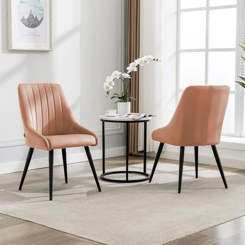 Image of Finch Fox Morris Velvet Dining Chair for Living Room, Bedroom, Home Office with Black Metal Legs in Peach Color