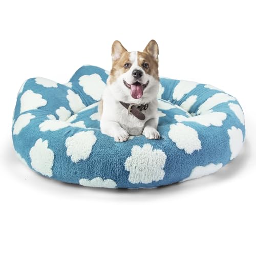 Donut-Dog-Beds-for-Small-Dogs-Removable-and-Washable-Dog-Bed-Cover-Cozy-Soft-Round-Cat-Bed-with-Waterproof-Liner-Cute-Calming-Dog-Bed-for-Indoor-Cats-for-Small-Medium-Dogs-Blue-M-30x30x8 - Cucciolini Doodles Donut-Dog-Beds-for-Small-Dogs-Removable-and-Washable-Dog-Bed-Cover-Cozy-Soft-Round-Cat-Bed-with-Waterproof-Liner-Cute-Calming-Dog-Bed-for-Indoor-Cats-for-Small-Medium-Dogs-Blue-M-30x30x8