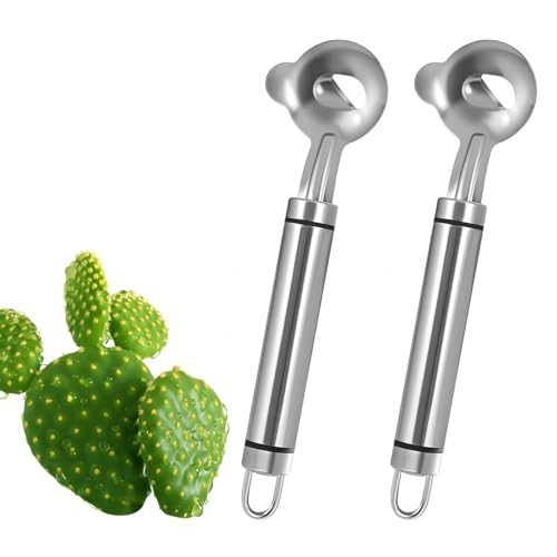 2 PCS Cactus Peeler Tool – Cactus Peeling Spoon, Pelador de Nopales, Multi-Function Nopal Cactus Cutter, Stainless Steel Nopales Peeler with Groove Edge for Peeling Nopales and Noodle