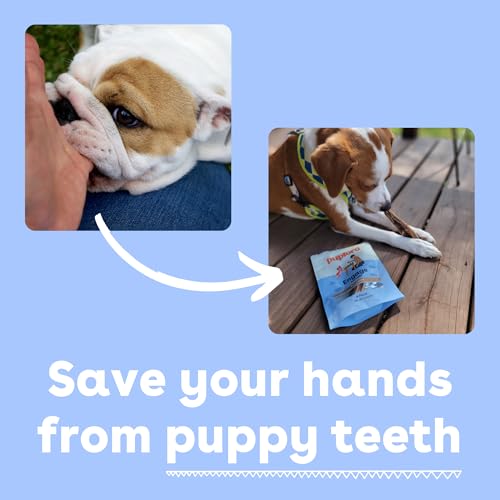 Pupford Bully Sticks for Dogs & Puppies, Teething Chew Toy (6", 4 Count) | Smoked for better smell, Long-lasting mental enrichment, 1 ingredient, Made in the USA, Redirect biting, Small & medium dogs - Image 3