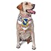 US Army 504th Infantry Regiment Triangle Dog Bandana Scarf Accessories for Pet Bibs