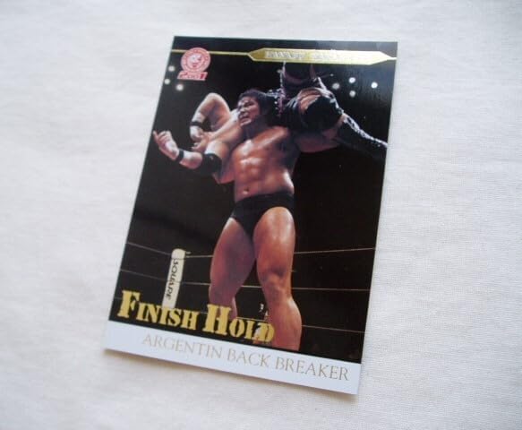 インサート 中西学◇バンダイ2001 新日本プロレス FINISH HOLD
