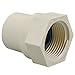 NIBCO 4703 Series CPVC Pipe Fitting, Adapter, 3/4