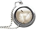  Echte Pusteblume Medaillon Kette 70cm - mit Schmuckschachtel - Blüten Naturschmuck