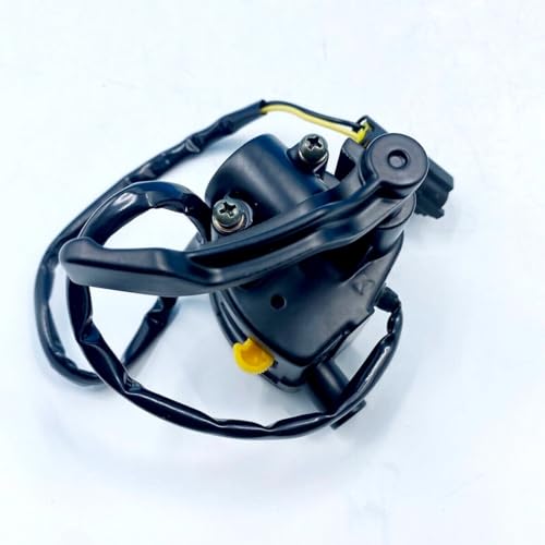 Commande d'accélérateur pour randonnée en ATV Buyang Feishen 300cc Quad - 7