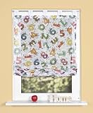 Schlaufenrollo Raffrollo Gardine Raffgardine Vorhang mit Schlaufen für Fenster in z.B. Kinderzimmer in Weiss mit farbenfrohen Zahlen halbtransparent 1 Stück BxH: 60 x 140 cm