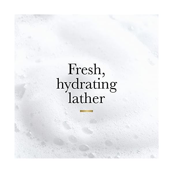 Olay-Fresh-Outlast-Body-Wash-with-B3-Rose-Water-and-Sweet-Nectar-22-Fl-Oz-Pack-of-4 Olay Fresh Outlast Body Wash with B3, Rose Water and Sweet Nectar, 22 Fl Oz (Pack of 4)