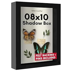 Americanflat 8x10 Shadow Box Frame with Shatter-Resistant Glass - Silhouette