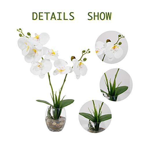 Livilan Faux Orchids Plants White Orchids With Glass Vase Phalaenopsis Orchid Artificial Orchid Flowers Faux Orchid In Glass Pot Orchid Decorations For Home Decor Office Kitchen Table Centerpiece #TOP5