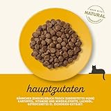Applaws getreidefreies Katzentrockenfutter mit Huhn für ausgewachsene Katzen Senior, natürlich und vollwertig (1x 7,5kg Packung)