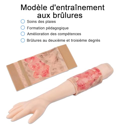 Modèles de peau humaine pour la formation médicale et simulation de brûlures - 4