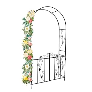 Best Goods Rozenboog met deur, metaal, stabiele rozenboog met poort, halfronde tuinboog met versiering, rankhulp rozenframe (deur)